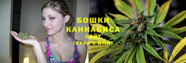 твердый Ельня