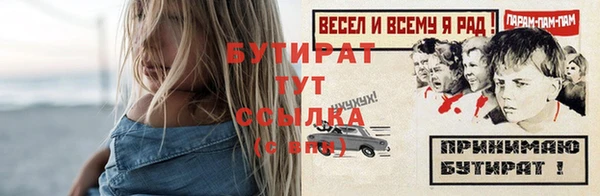 твердый Ельня