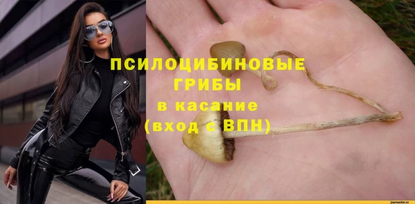 твердый Ельня