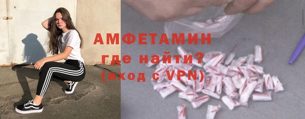 твердый Ельня