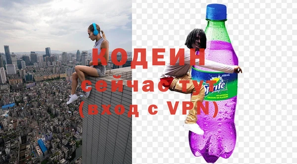 твердый Ельня
