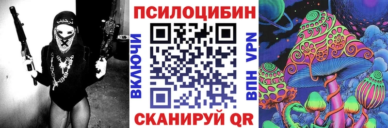 Галлюциногенные грибы GOLDEN TEACHER  Купить где  Кизилюрт 